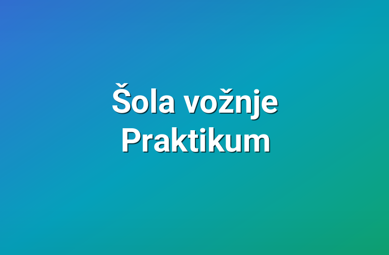 Šola vožnje Praktikum
